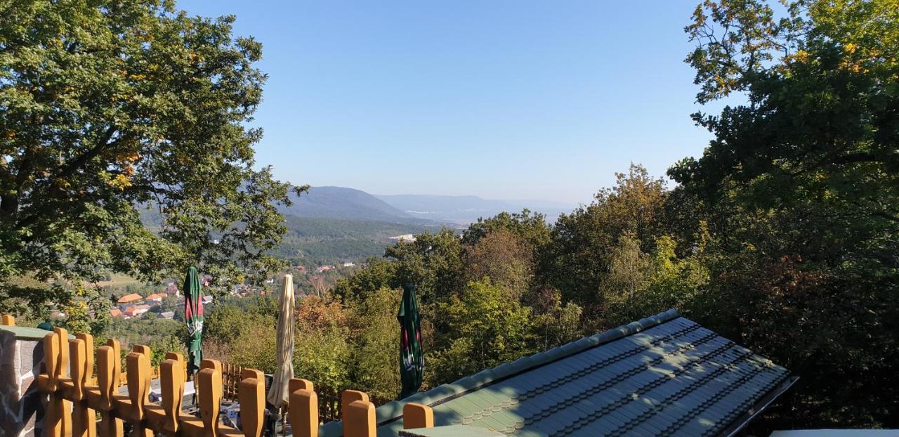 Forrest Hotel 霍穆托夫 外观 照片